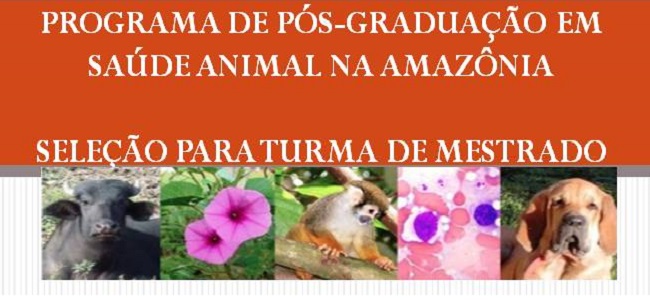 Programa de Pós-Graduação em Saúde Animal na Amazônia divulga edital de seleção para Mestrado