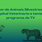 Setor de Animais Silvestres do Hospital Veterinário é tema de programa de TV