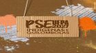 UFPA divulga edital do Processo Seletivo Especial para candidatas(os) Indígenas e Quilombolas